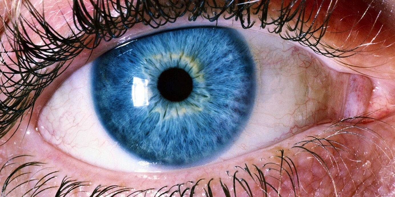 oog met blauwe iris