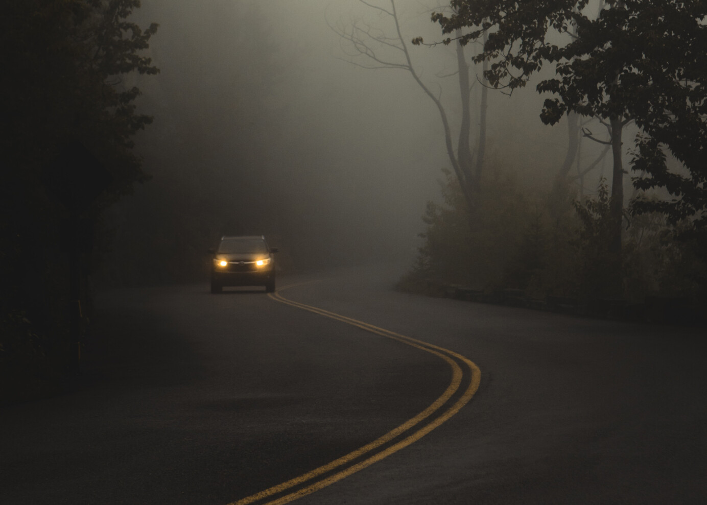 Auto op een donkere, mistige weg door een bos heen