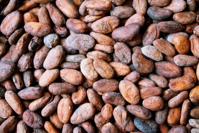Cacaobonen: vol stofjes die goed voor je ogen zijn!