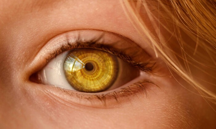 Wat bepaalt de kleur van je ogen?